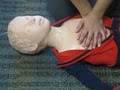 CPR Training Classes - In-Pulse CPR logo
