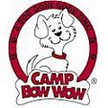 Camp Bow Wow Moore image 2