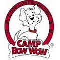 Camp Bow Wow Moore image 2