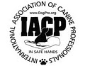 Canine Behavioral Services Inc. image 3