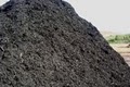 Capital Mulch Company image 3