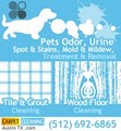 Carpet Cleaning Austin TX image 3