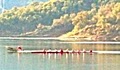 Casitas Rowing image 3