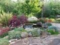 CathyD's Landscapes, Inc image 3