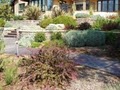 CathyD's Landscapes, Inc image 6