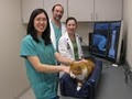 Center for Feline Health & Well-Being image 2