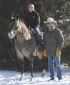 Cleveland Horses - Notquitea Ranch image 2