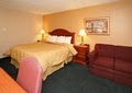 Comfort Inn Martinsville image 6