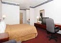 Comfort Inn & Suites image 9