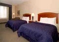 Comfort Inn & Suites image 10