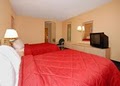 Comfort Inn Washington image 4