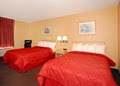 Comfort Inn Washington image 10