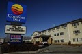 Comfort Inn image 2