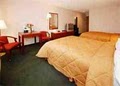 Comfort Inn image 4