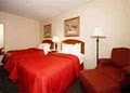 Comfort Inn image 4