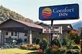 Comfort Inn image 5