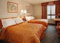 Comfort Inn image 6