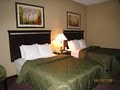 Comfort Inn image 8