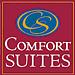 Comfort Suites University image 7