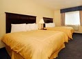 Comfort Suites image 4