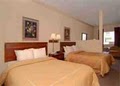 Comfort Suites image 10