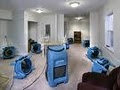 Custom Carpet Cleaning Water Damage Restoration Services image 4