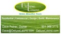 Deluxe Lawns logo