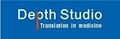 Depth Translation Studio in Medicine logo