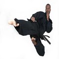 Detroit Karate image 2