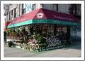 Ditmars Flower Shop image 2