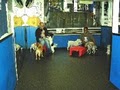 Dog Wash Dog Daycare & Boarding NYC image 3