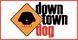 Downtown Dog image 7