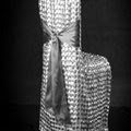 Dress My Chair, Inc Party Rentals and Fine LInens image 6
