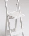 Dress My Chair, Inc Party Rentals and Fine LInens image 8