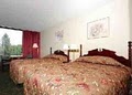 Econo Lodge Inn & Suites Outlet Village image 7