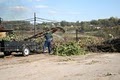 Edrich Lumber, Inc. - Wood Waste Recycling Center image 3