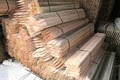 Edrich Lumber, Inc. - Wood Waste Recycling Center image 8