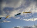 Elmer's Flag & Banner Kites Too| image 2