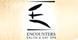 Encounters Salon & Day Spa logo