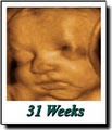 Fetal Vision Imaging Inc image 3