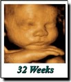 Fetal Vision Imaging Inc image 5