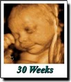 Fetal Vision Imaging Inc logo