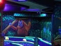 Firefly's Mini Golf LLC image 2