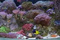 Fish World Aquarium Shop image 5