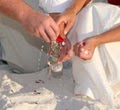 Florida Nuptials image 3