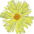 Flower Power Farm logo