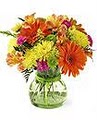 Flowers Lancaster Florist Magic Send Same Day Flower Delivery image 5