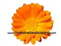 Fontaine Landscaping Inc image 8