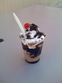 Frozen Custard Ritters image 1