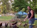 Funky Chicken Farm image 4
